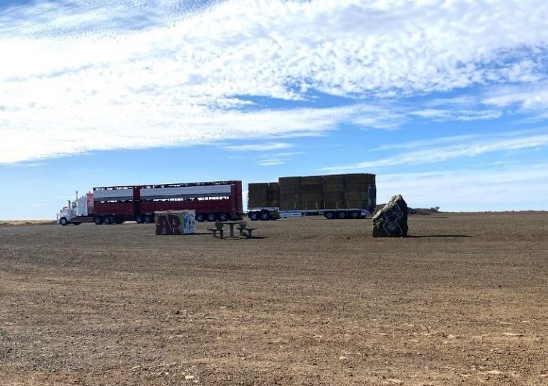 Adelaide To Coober Pedy Road Trip Stops, Bus, Flights And More [2023