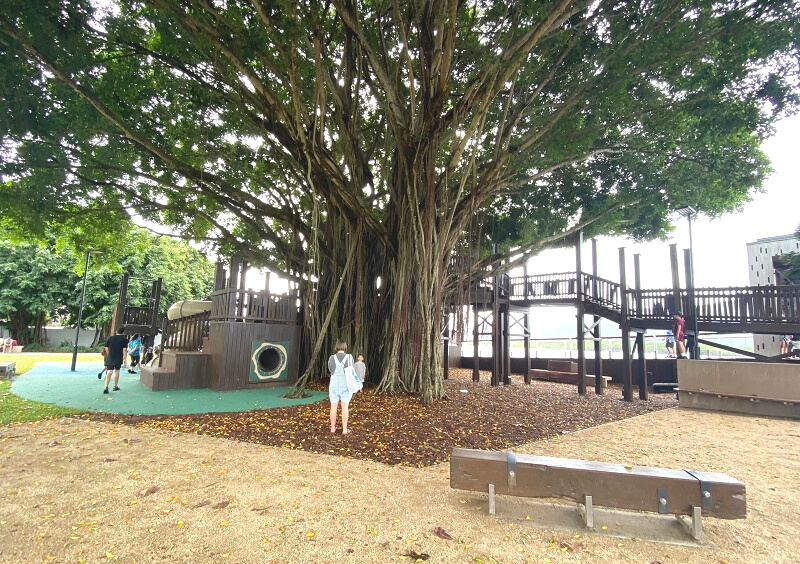 Cairns Wharf Area playground