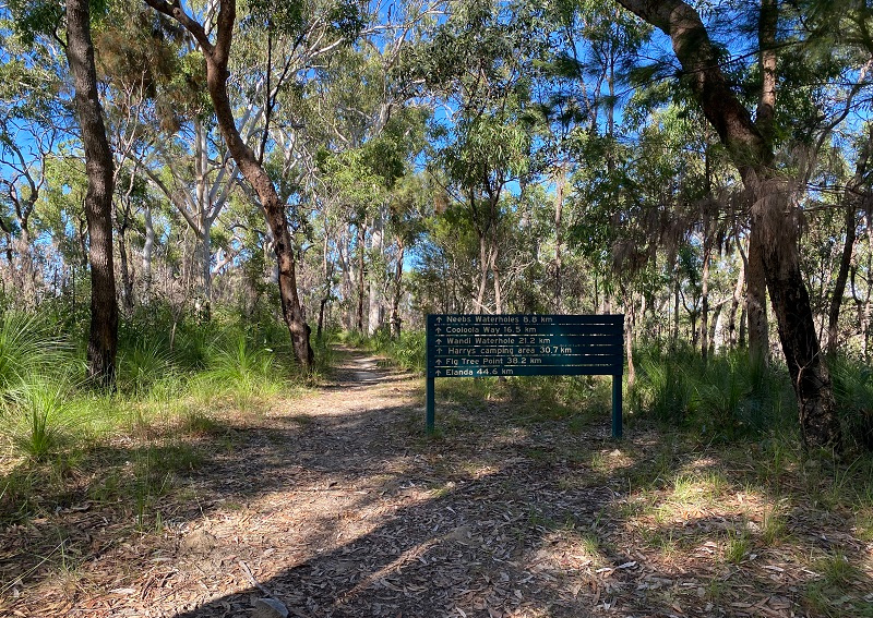 Cooloola Wilderness Trail