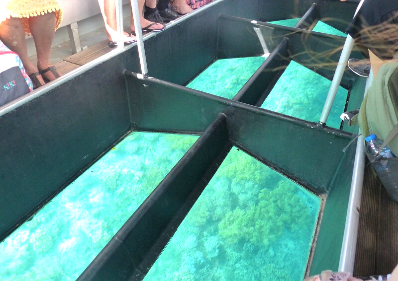 Glass Bottom Boat Tour Cairns