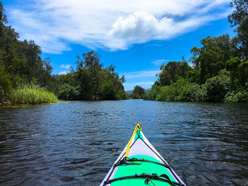 Kayaking in Noosa Everglades