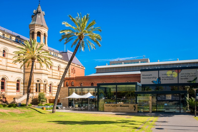 South Australian Museum Adelaide