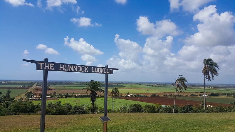 The Hummock Lookout Bargara Bundaberg