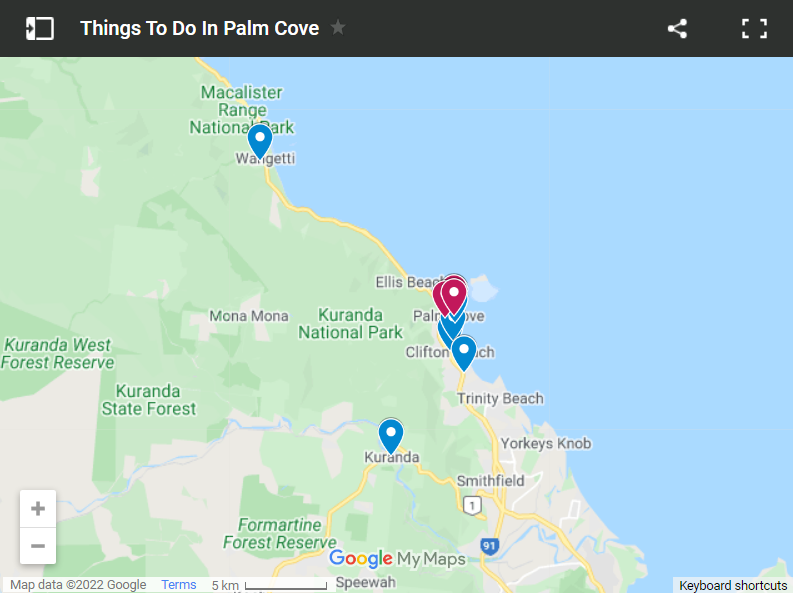 things to do in palm cove map