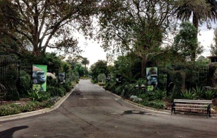 Melbourne Zoo review