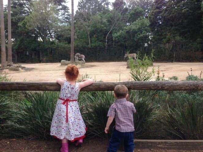 Our review for Melbourne Zoo