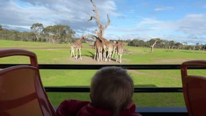 Our review for the Werribee Zoo!